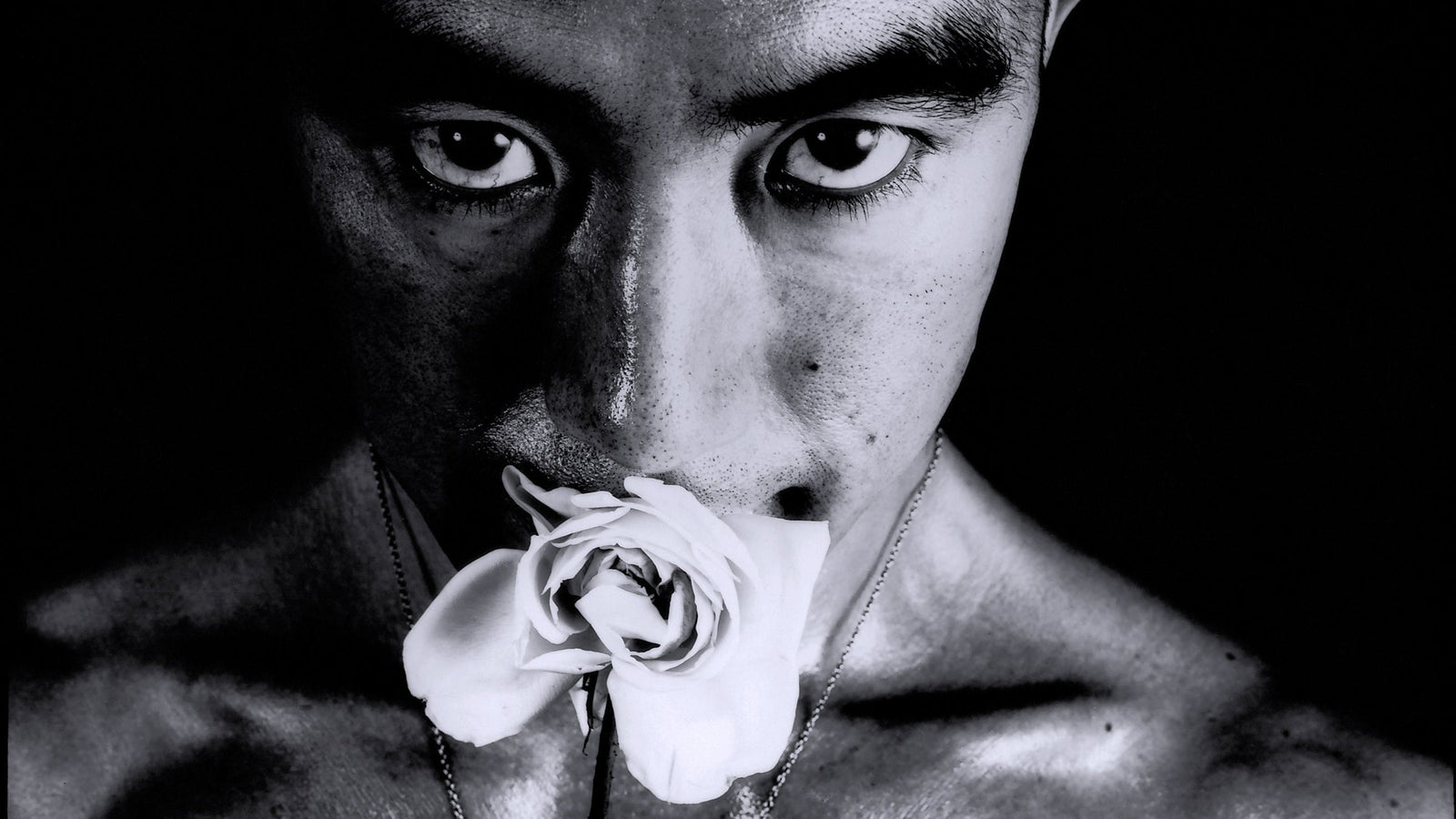 The Erotics of Power: Yukio Mishima and the Performance of Desire