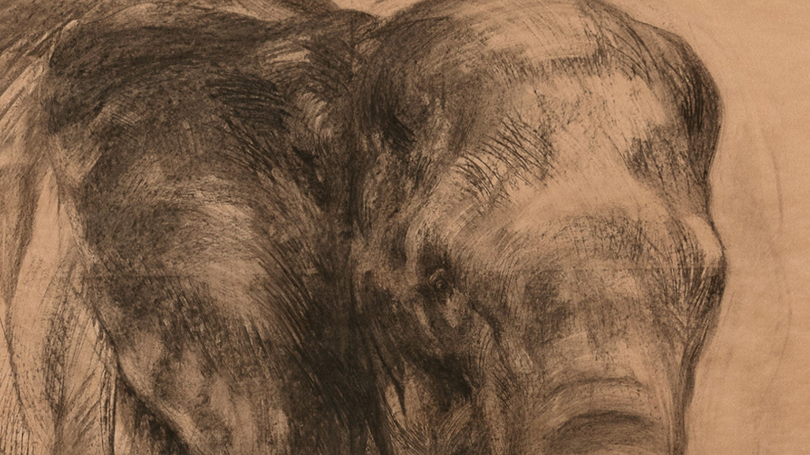 Nicola Hicks - Elephant